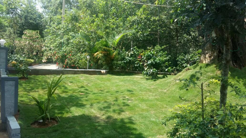 Leisure Vacations Whispering Woods Hotell Madikeri Eksteriør bilde